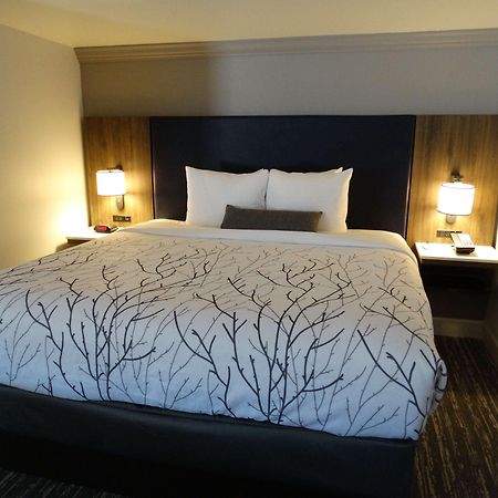 Best Western Premier Denver East Ruang foto
