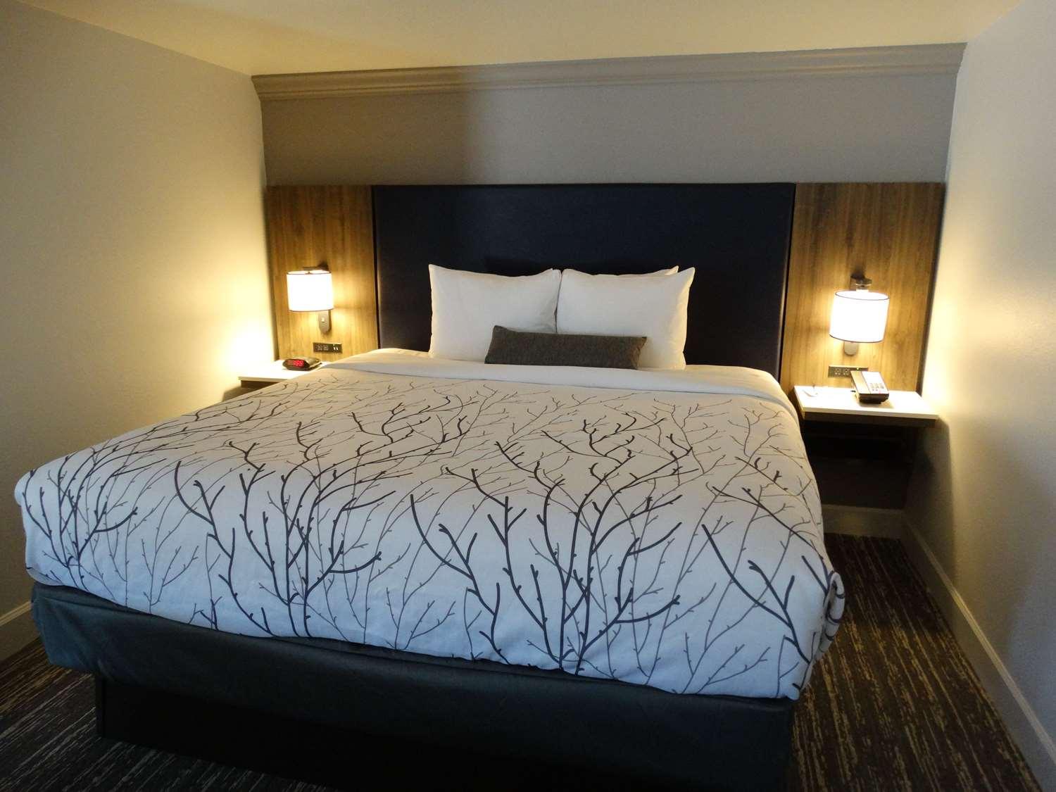 Best Western Premier Denver East Ruang foto
